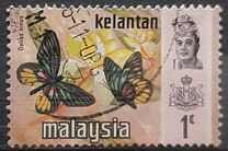 [Butterflies, Tipi AM]