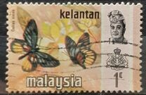 [Butterflies, Tipi AM1]