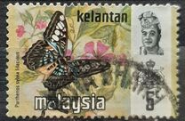 [Butterflies, Tipi AO]