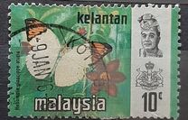 [Butterflies, Tipi AQ]