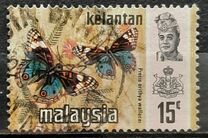 [Butterflies, Tipi AR]