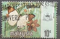 [Butterflies, type AQ]