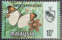 [Butterflies, प्रकार AO]