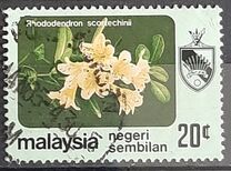 [Flowers, प्रकार BT]