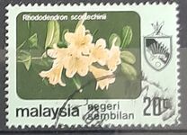 [Flowers, प्रकार BT]