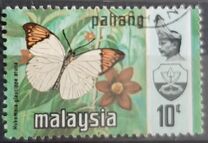 [Sultan Abu Bakar & Butterflies, tip AM]
