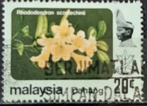 [Flowers, type BA]