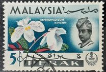 [Orchids, Scrivi AL]