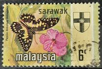 [Butterflies, type BU]