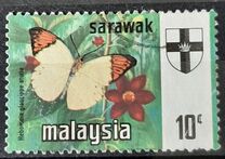 [Butterflies, type BV]