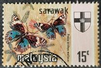 [Butterflies, type BW]