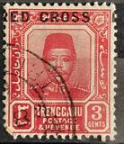 [Sultan Zain Ul Ab Din Stamps of 1910 Overprinted "RED CROSS", type B]