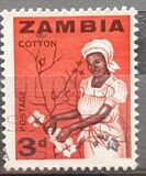 [Local Motifs, type D]