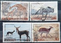 [Local Mammals, tipas JI]