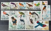 [Birds, type BK]