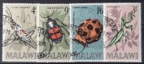[Insects of Malawi, tip CI]