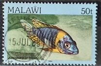 [Fish, Tip MP]