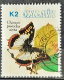 [Butterflies, tipas UI]