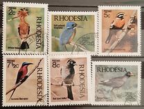 [Native Birds, type CQ]