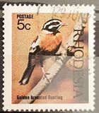 [Native Birds, type CS]