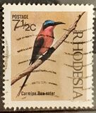 [Native Birds, type CT]