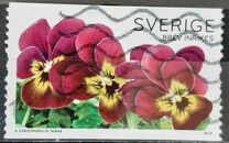 [Flowers - Pansies, Tüüp CGM]
