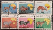 [Duikers of Africa Survey, type EI]