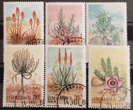 [Aloes, տեսակ EY]