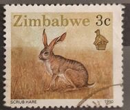 [Wildlife, Tipi GI]