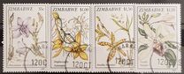 [Orchids, tip JU]