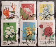 [Export Flowers, տեսակ KK]