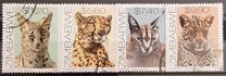 [Cats, type OQ]
