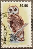 [Owls, type OX]