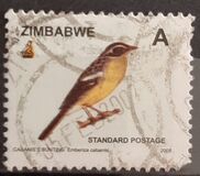 [Birds, type UW]