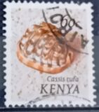 [Seashells, type AQ]