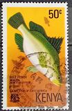 [Sport Fishing - Fish, Вид BN]