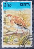 [Birds, type JX]