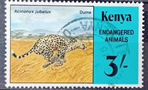 [Endangered Animals, Вид MK]