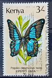 [Butterflies, type PG]