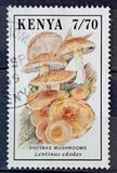 [Fungi, тип RV]