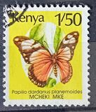 [Butterflies, tipas SO]