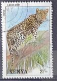 [Wild Animals, type UD]