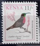 [Birds, Typ VI]