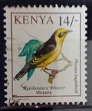 [Birds, Typ VJ]