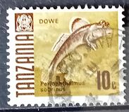 [Peces., tipo R]
