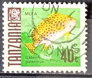 [Peces., tipo V]