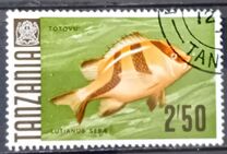[Peces., tipo AC]