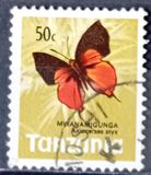 [Butterflies, type AM]