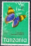 [Butterflies, type AP]