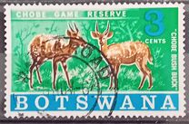 [Chobe Game Reserve, Tip AK]